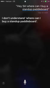 Standup Paddle Board Voice Search Query